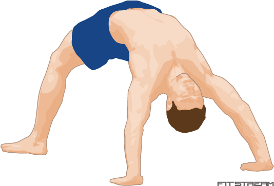 Downward Dog Yoga Pose Illustration PNG