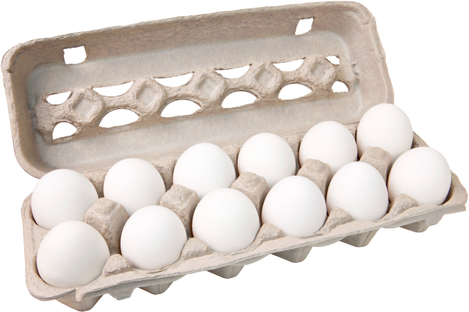Dozen White Eggsin Carton PNG