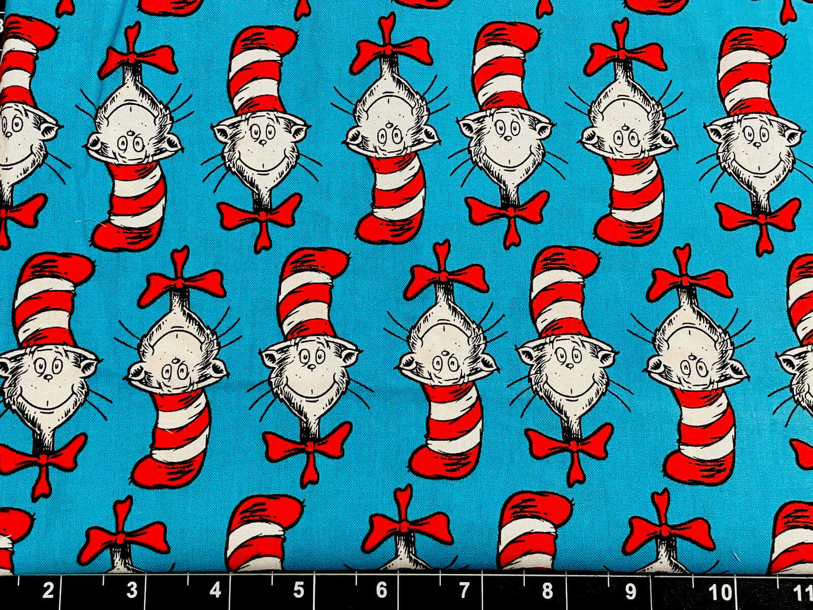Seuss The Cat In The Hat Plastic Backdrop Banner
