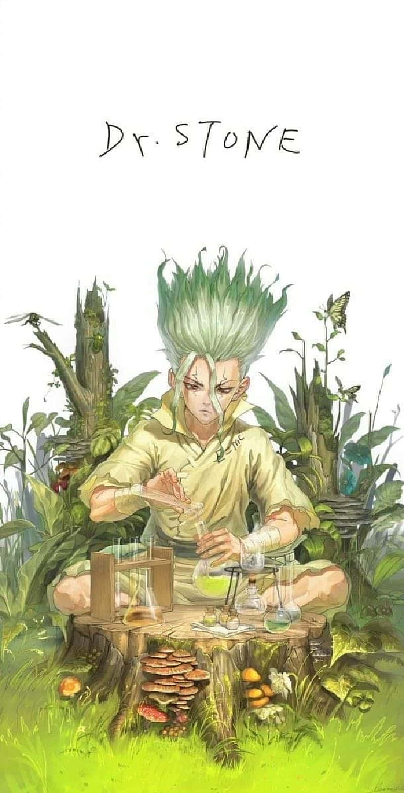 Dr. Stone Chemical Picture