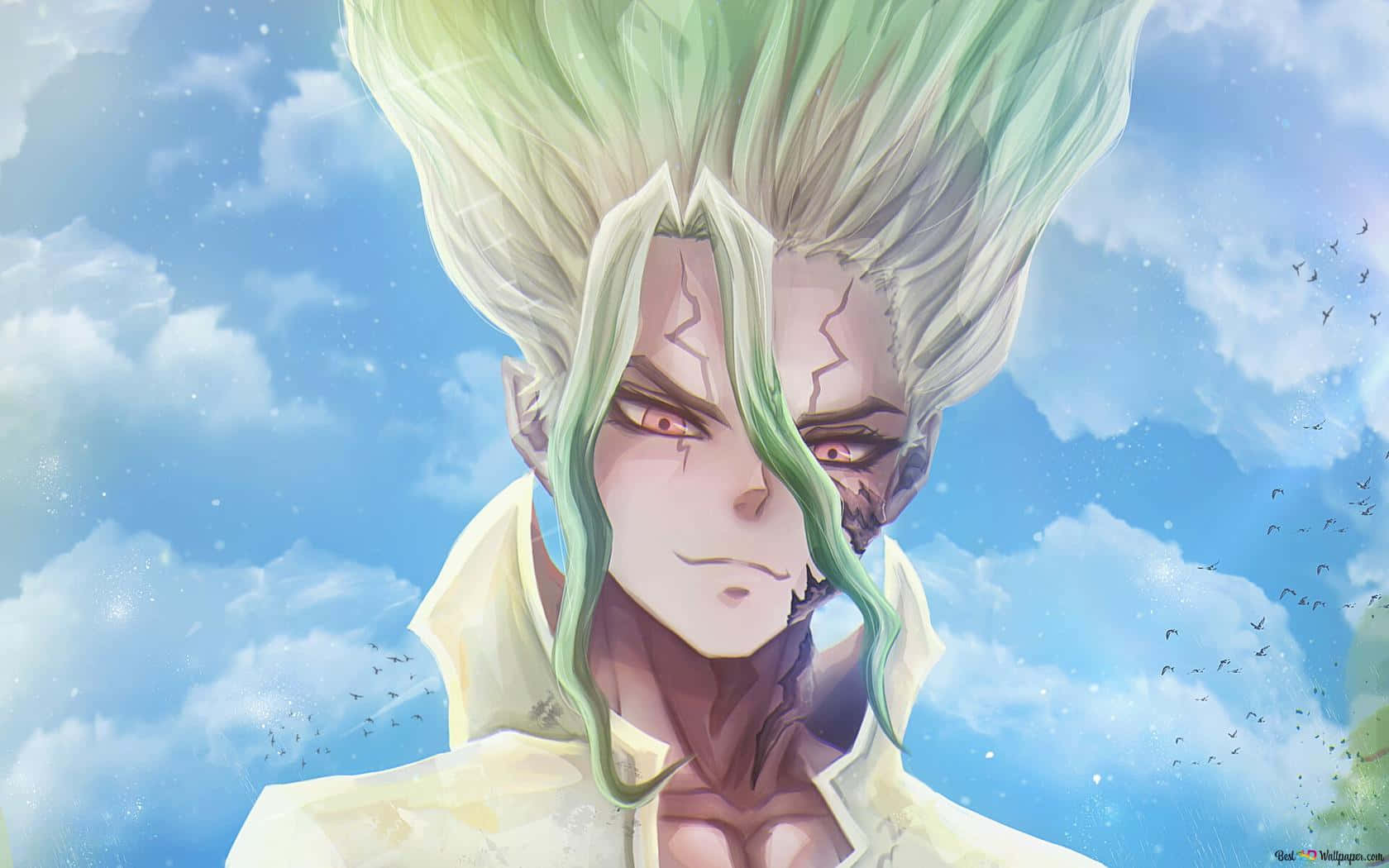 Close Up Dr. Stone Picture