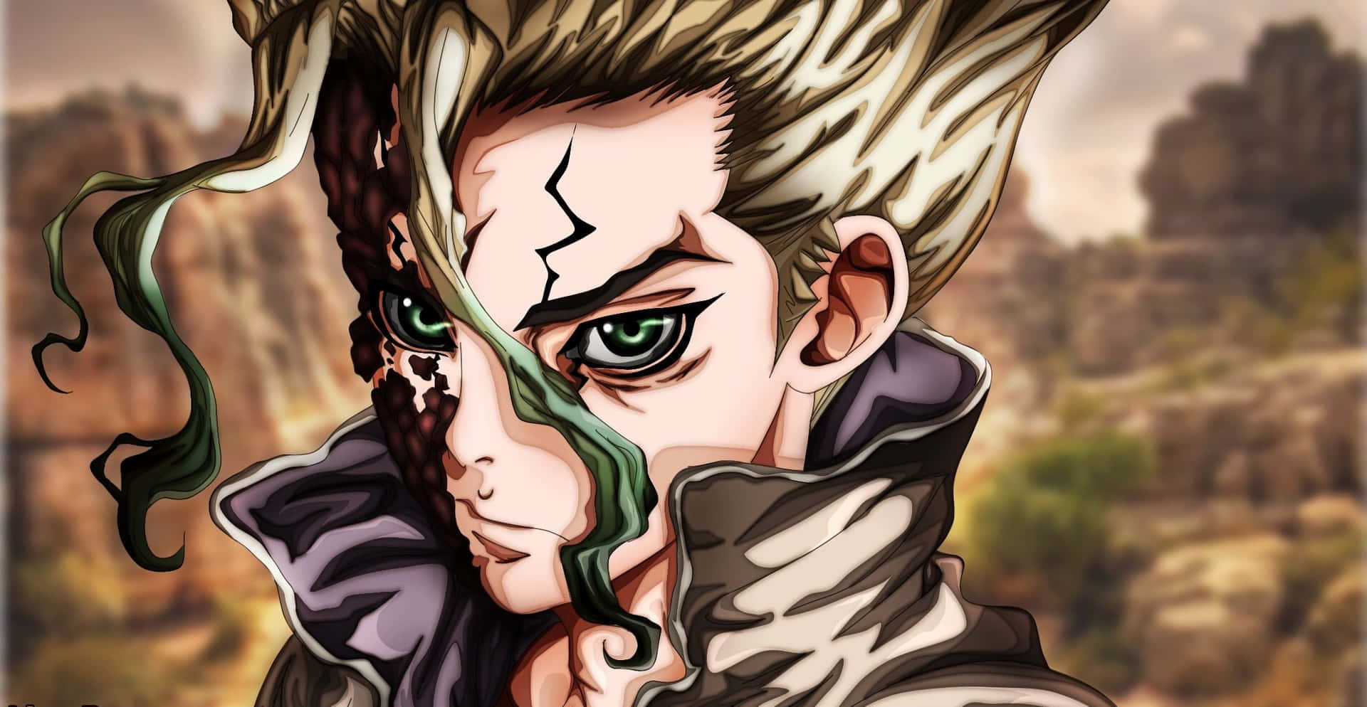 Dr. Stone Aesthetic Picture