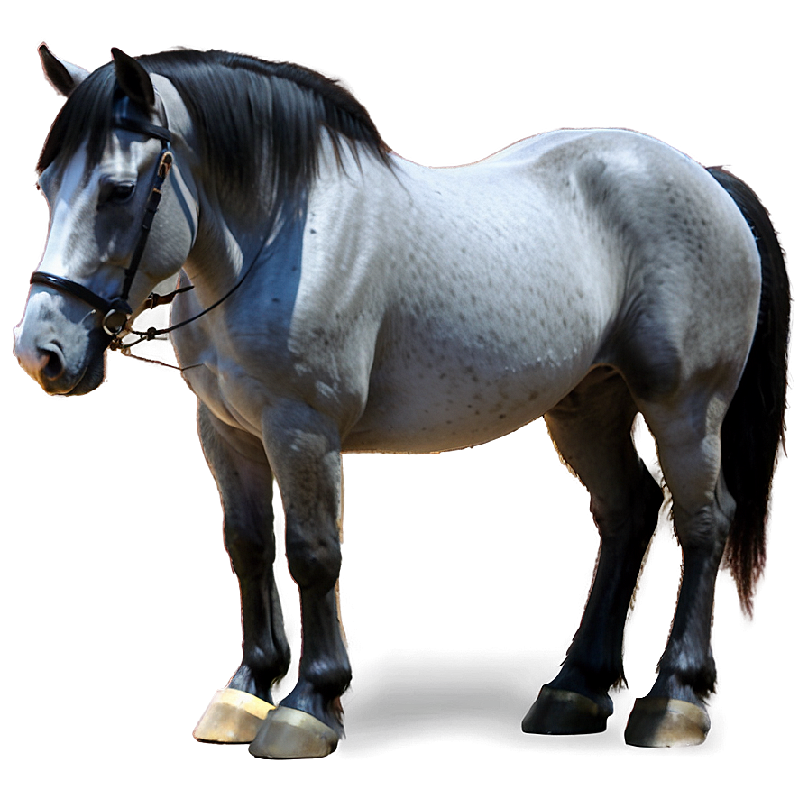 Draft Horse Png 66 PNG
