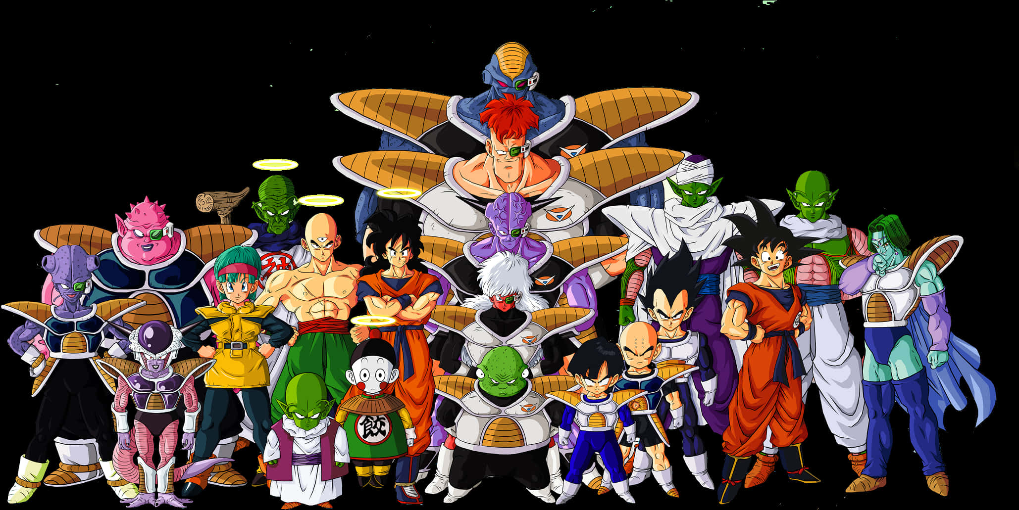 Dragon Ball Characters Gathering PNG