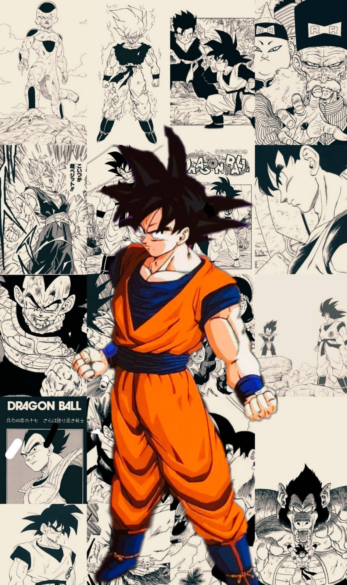Dragon Ball Goku Manga Panel