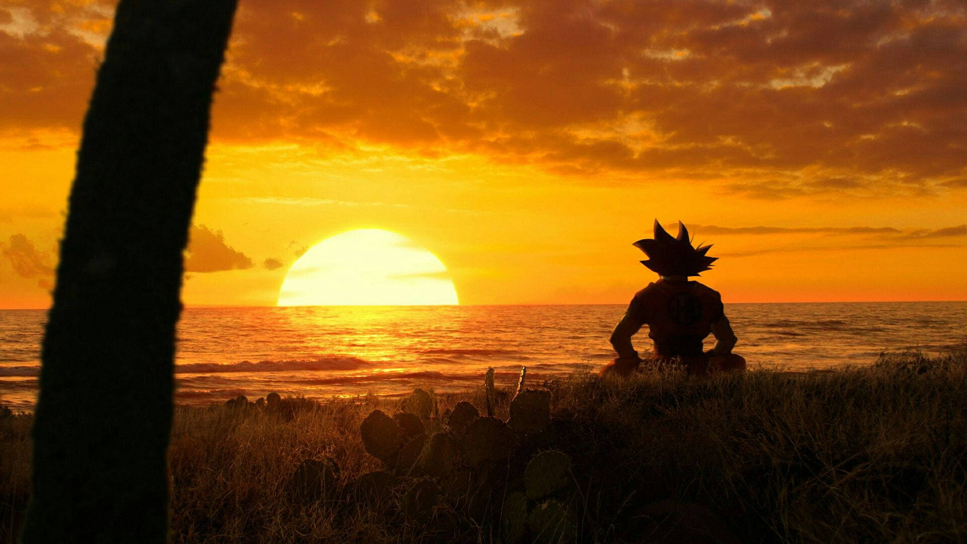 Dragonball Son Goku Entspannter Sonnenuntergang Wallpaper