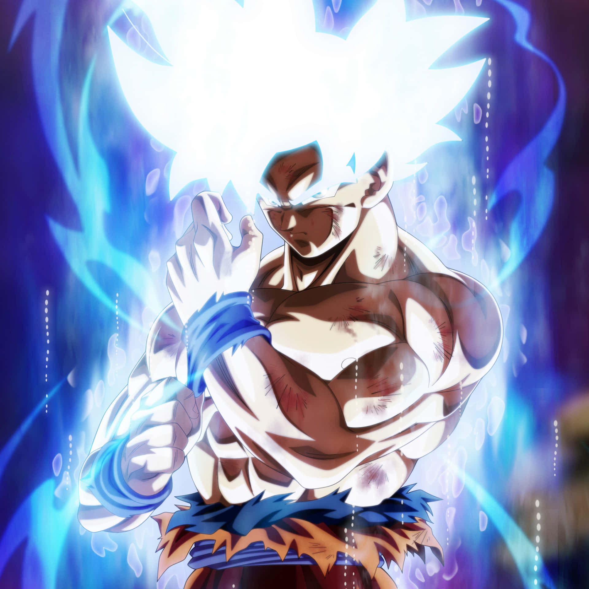White Haired Dragon Ball Super Picture