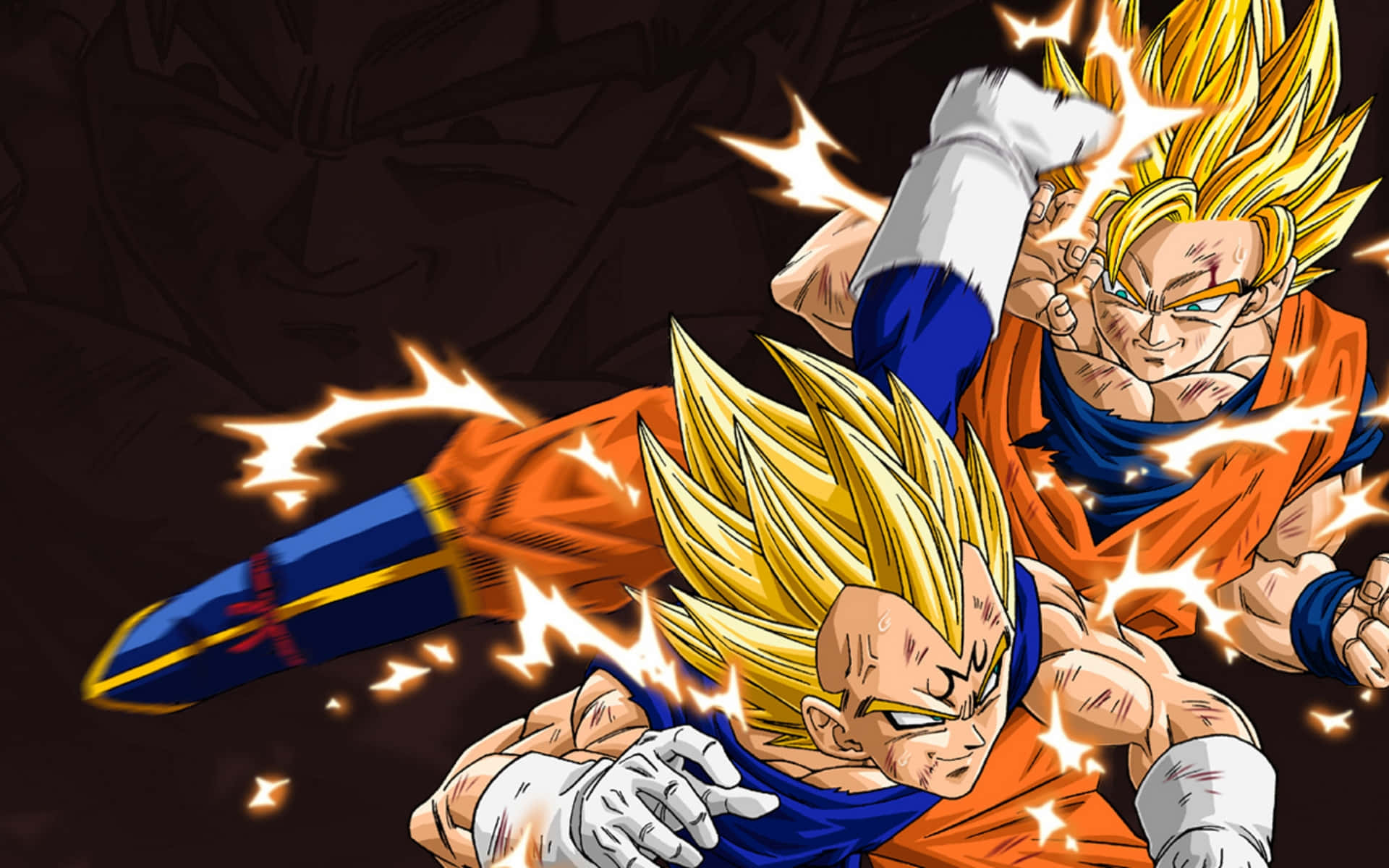 Dragon Ball Z Goku And Vegeta Picture