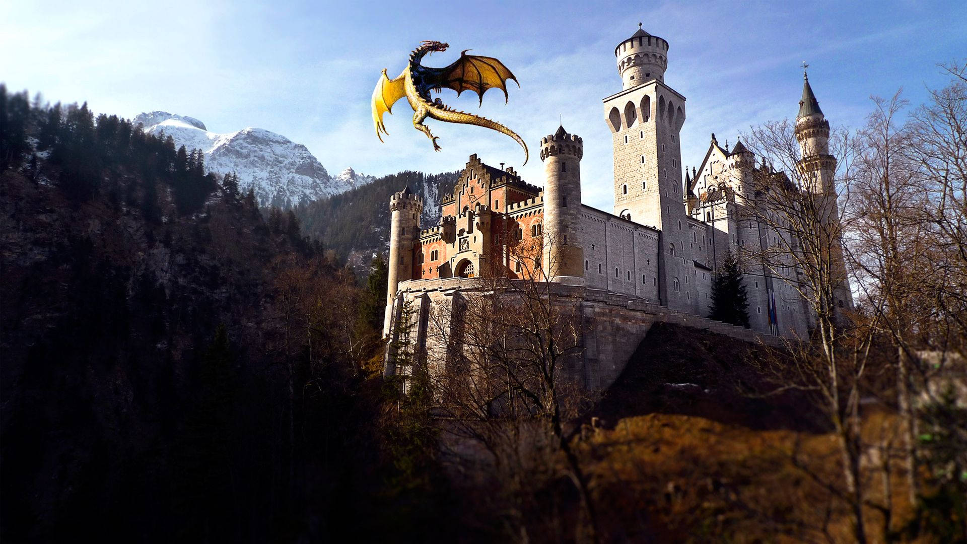 Dragon Castle, Hd Graphics, 4k Wallpaper, Image, Background