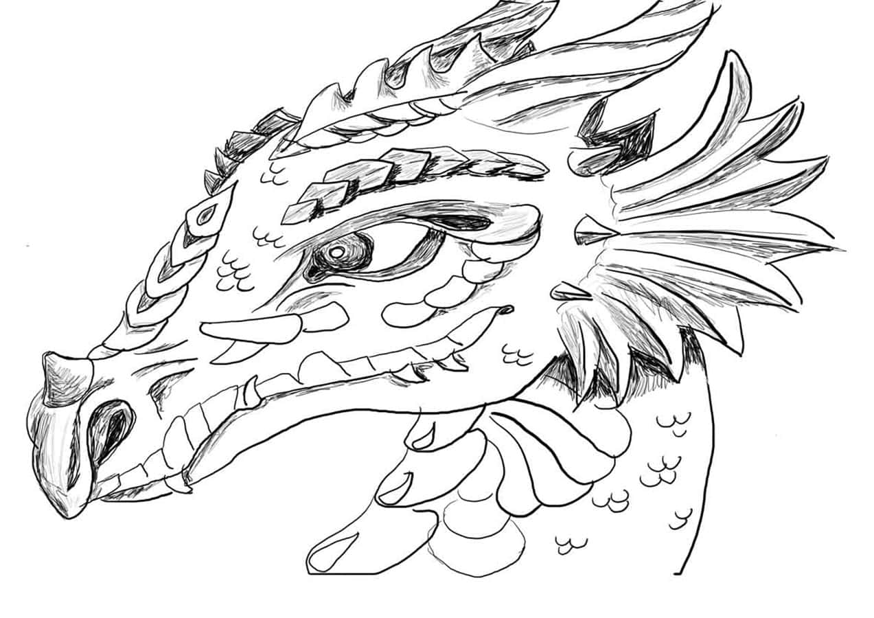 Enchanted Dragon Coloring Page