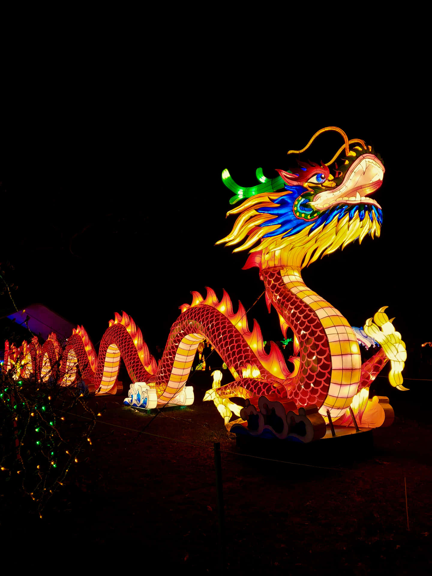 Incredible Fire Breathing Dragon