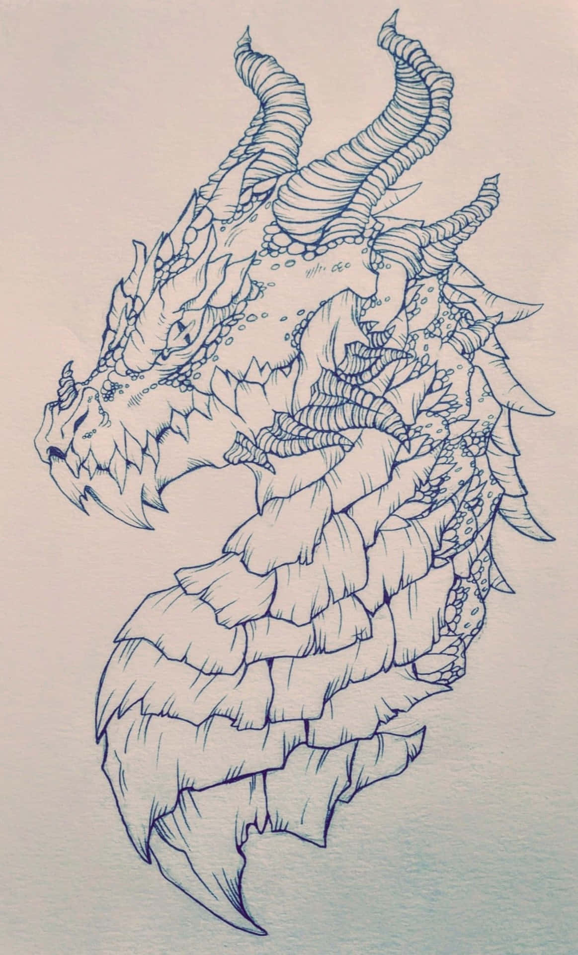 A majestic dragon profile.
