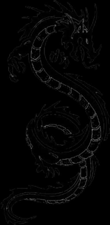 Dragon Tattoo Design Black Background PNG