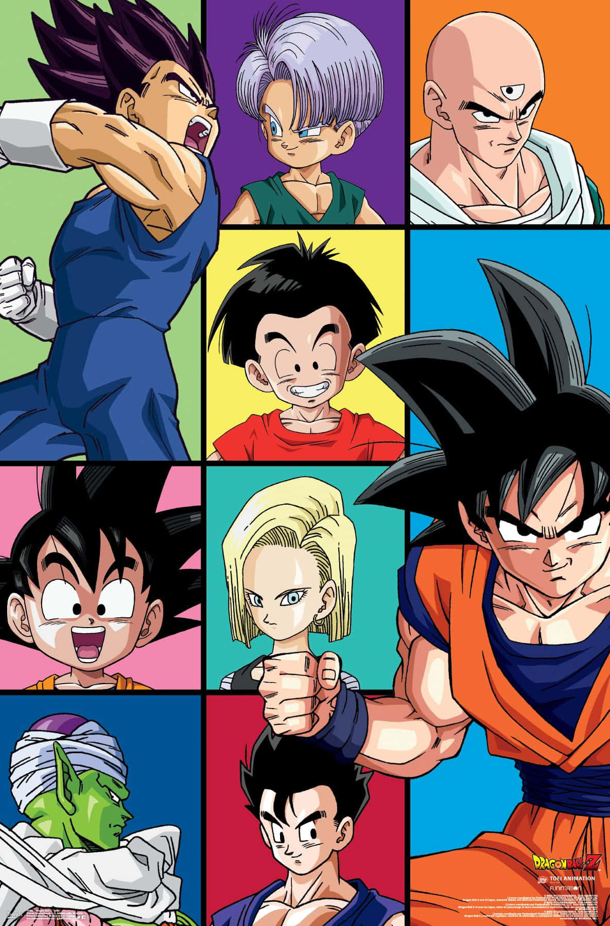 Dragonball Z Characters Collage Pictures
