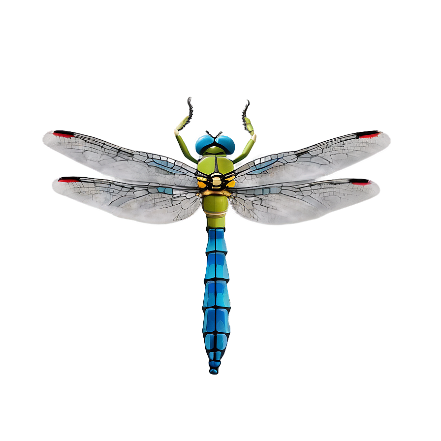 Dragonfly Hovering Png 06112024 PNG