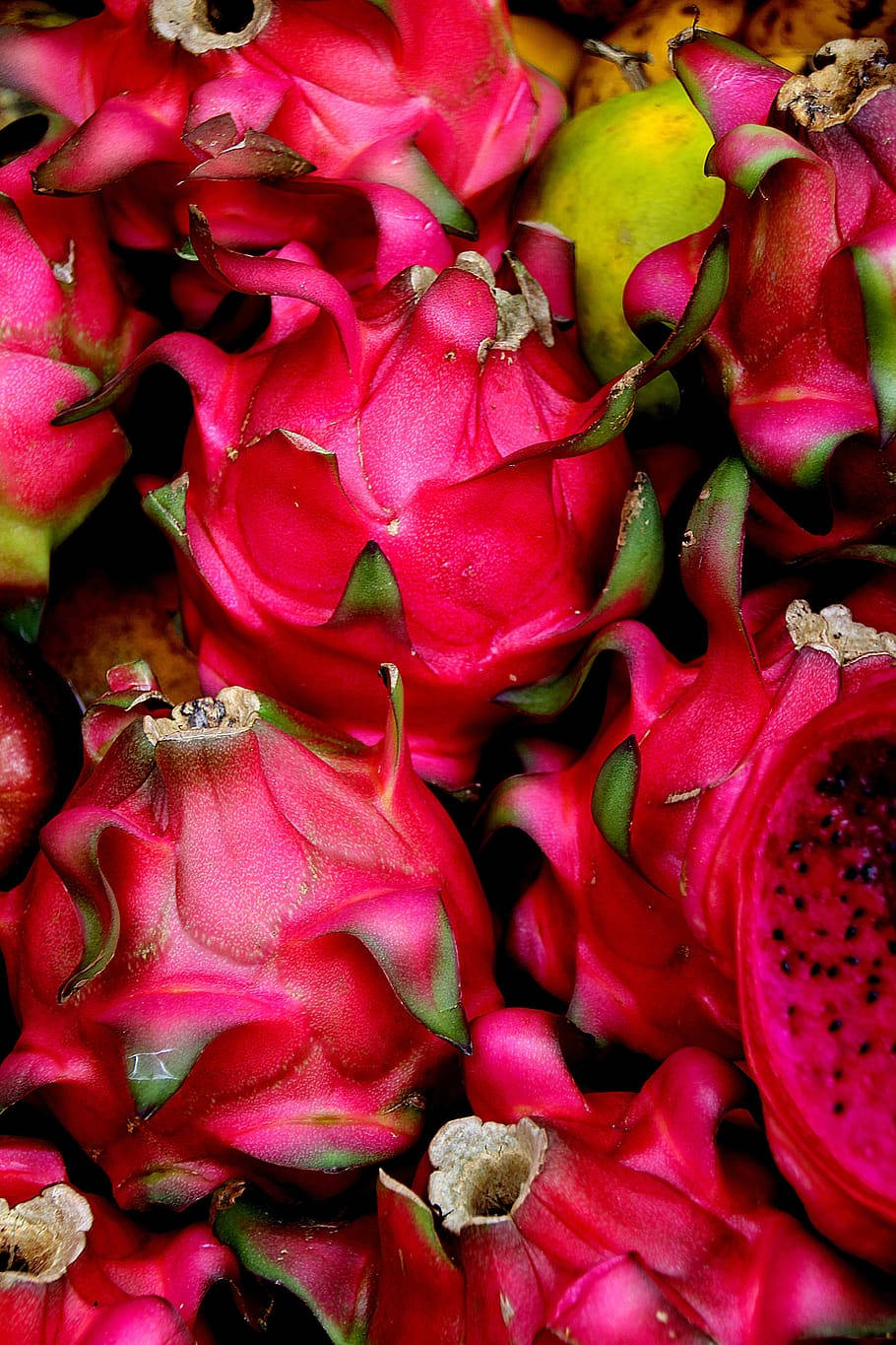Dragonfruchtbündel Nahaufnahme Obstfotografie Wallpaper