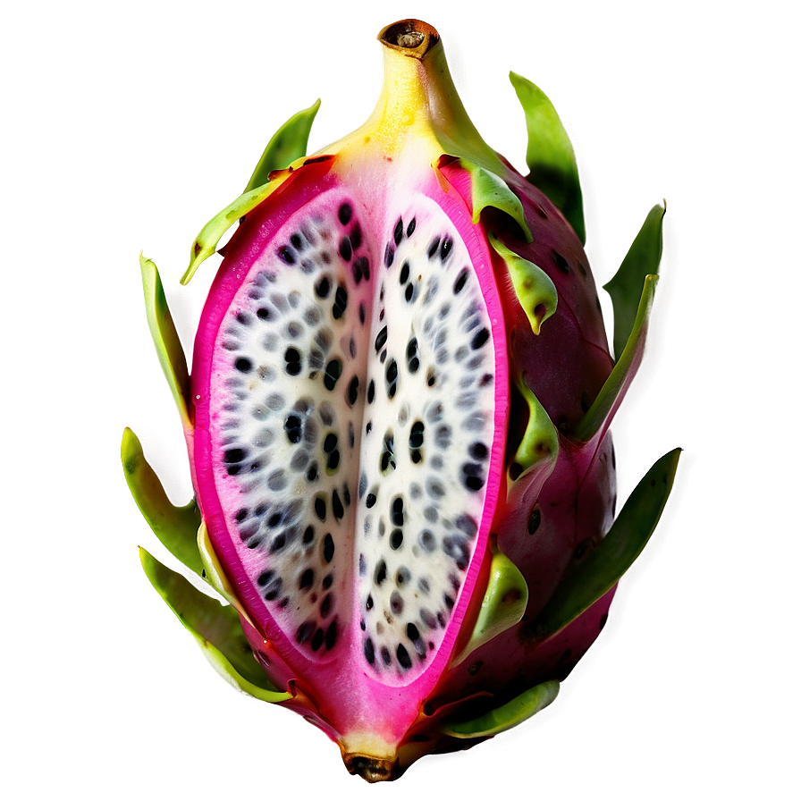 Dragonfruit C PNG