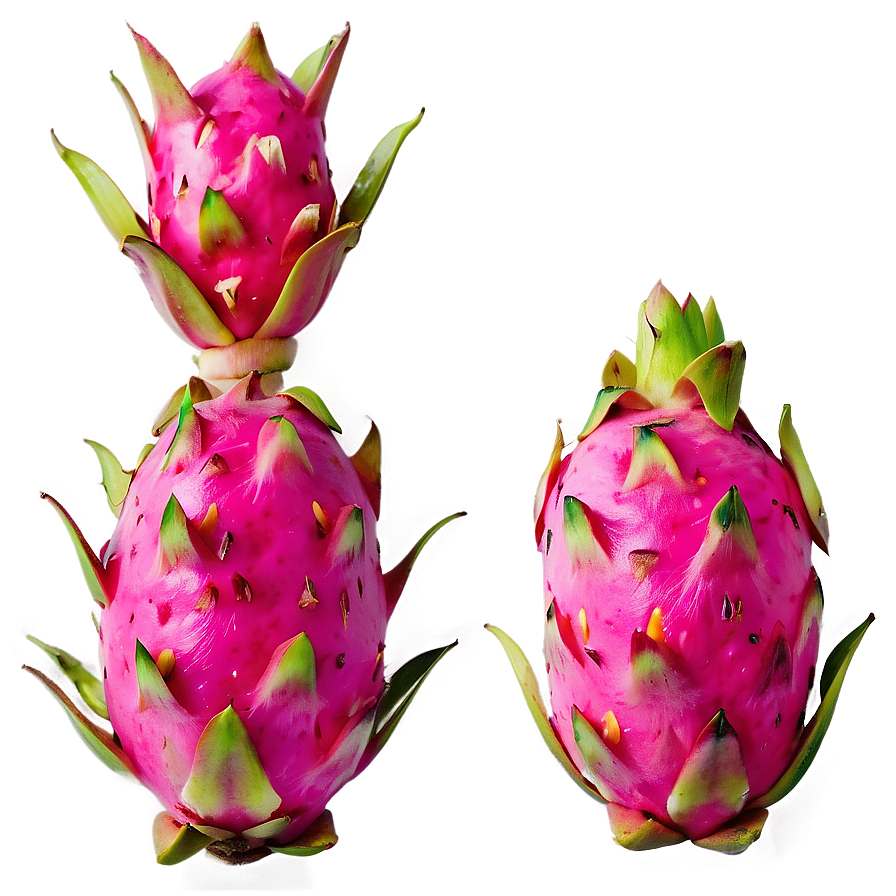 Dragonfruit D PNG