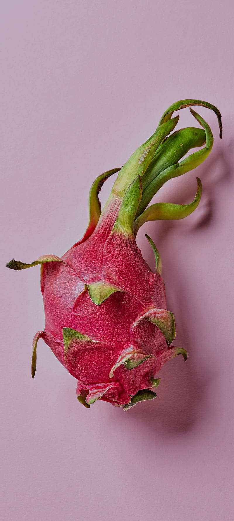 Dragonfruit Fruit Photography Pastel Pink Background Wallpaper