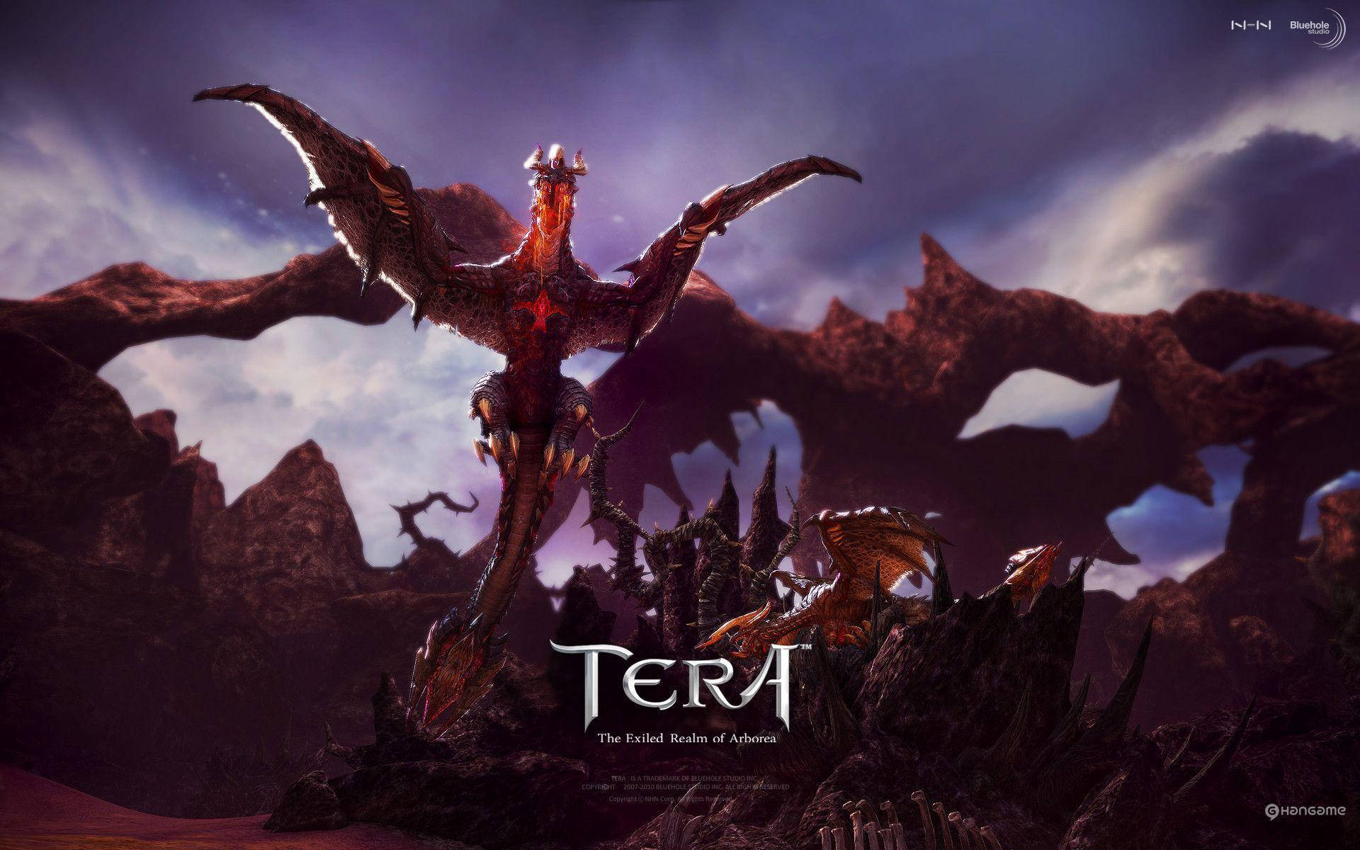 Dragons Of Tera Online Fantasy Game Wallpaper