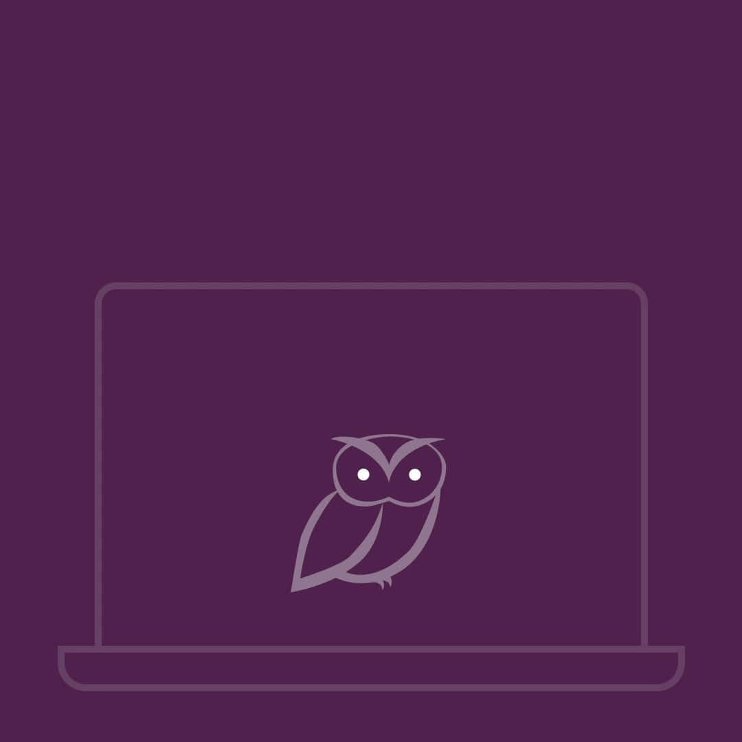 Drakeovo Owl Para Iphone. Fondo de pantalla