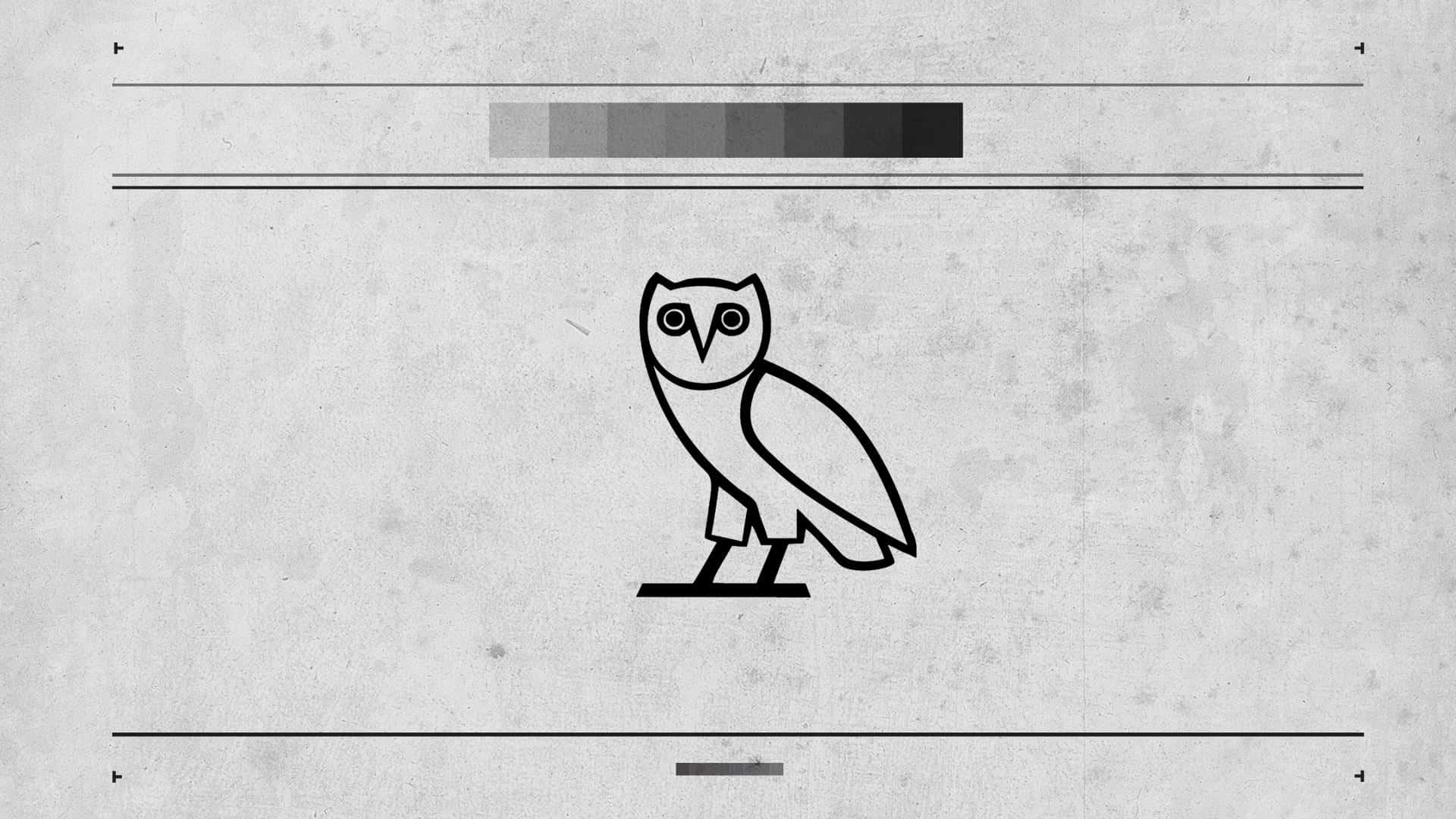 A Black And White Owl Is Standing On A Concrete Wall Wallpaper