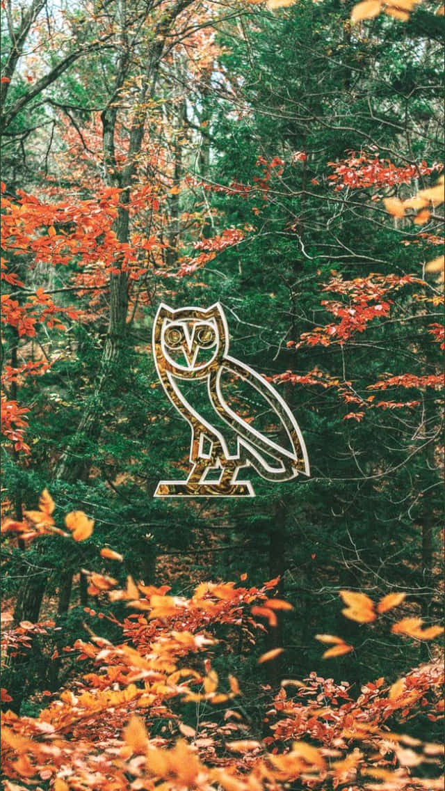 Owl In The Woods - Ad Wallpaper