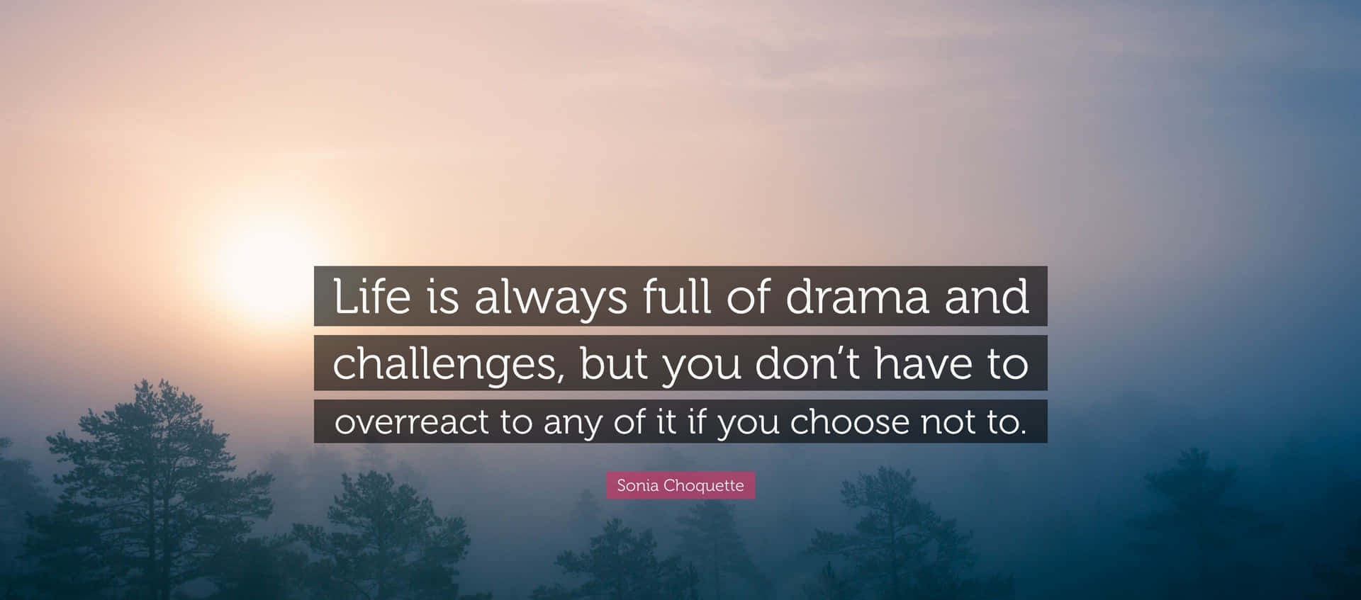 Download Dramaand Challenges Quote Wallpaper | Wallpapers.com