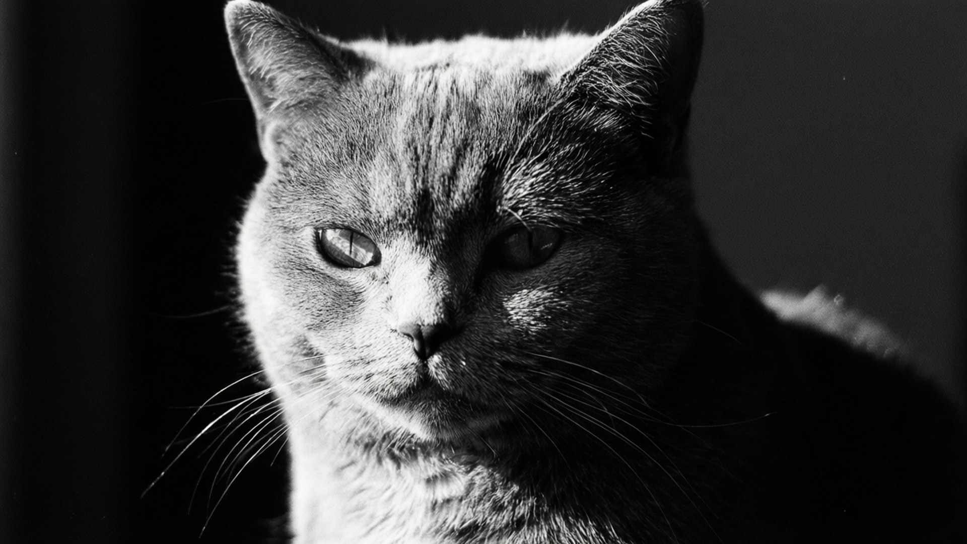 Monochrome Dramatique Fonds d'écran