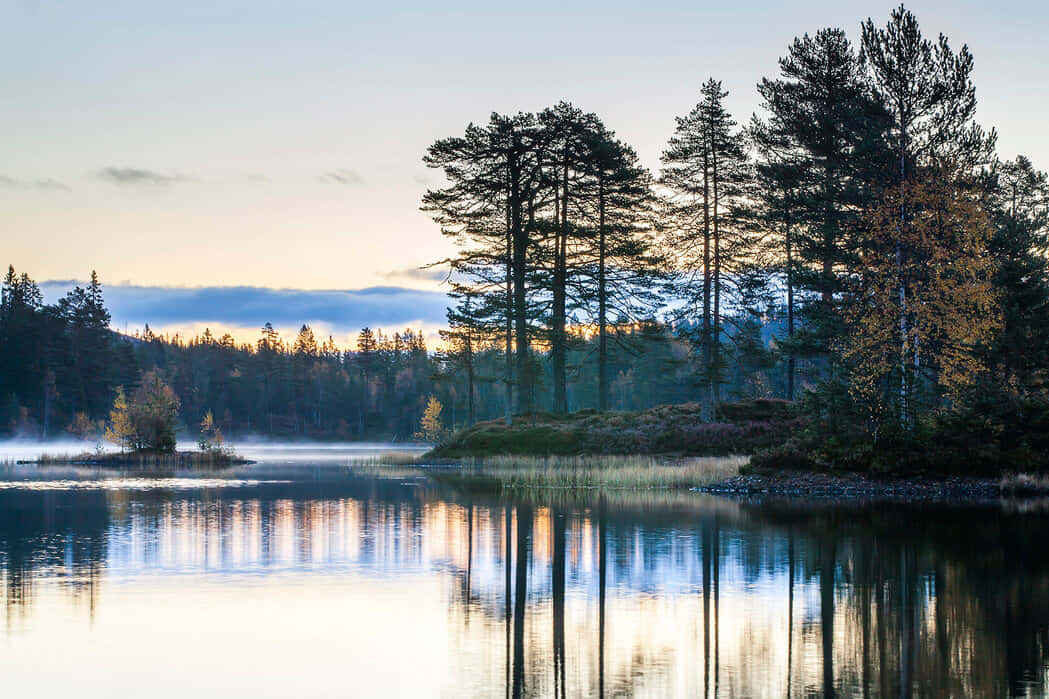 Drammen Lake Sunrise Reflection Wallpaper