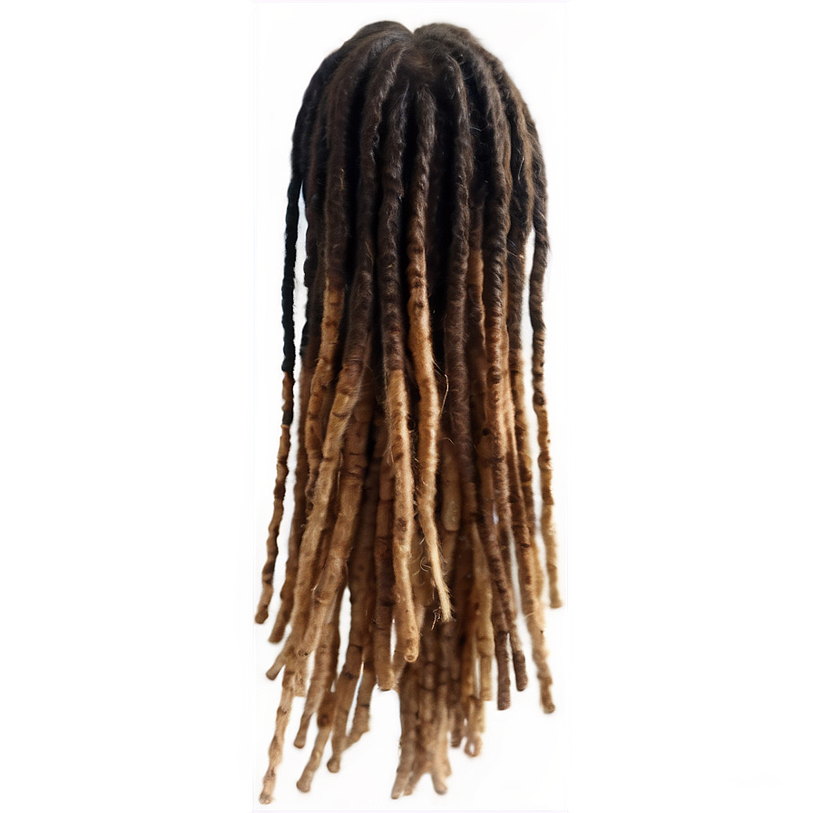 Dreadlocks Extension Ideas Png Dsp PNG