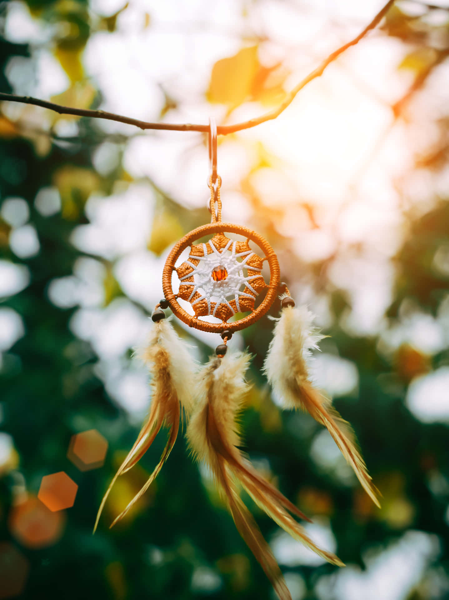 A Dream Catcher Hanging From A Tree