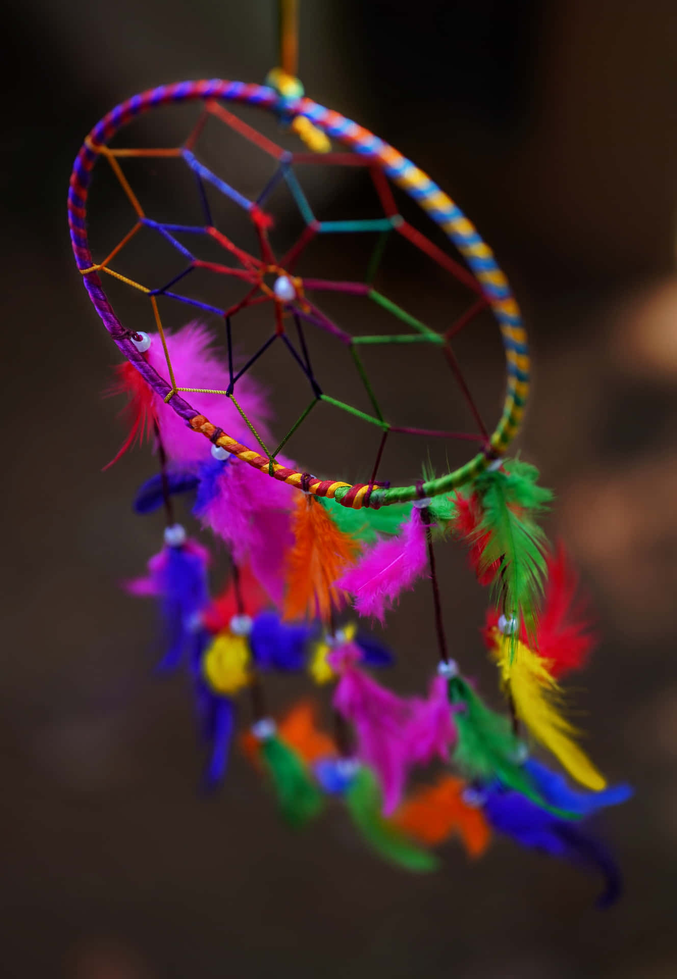 A Colorful Dream Catcher Hanging From A Tree