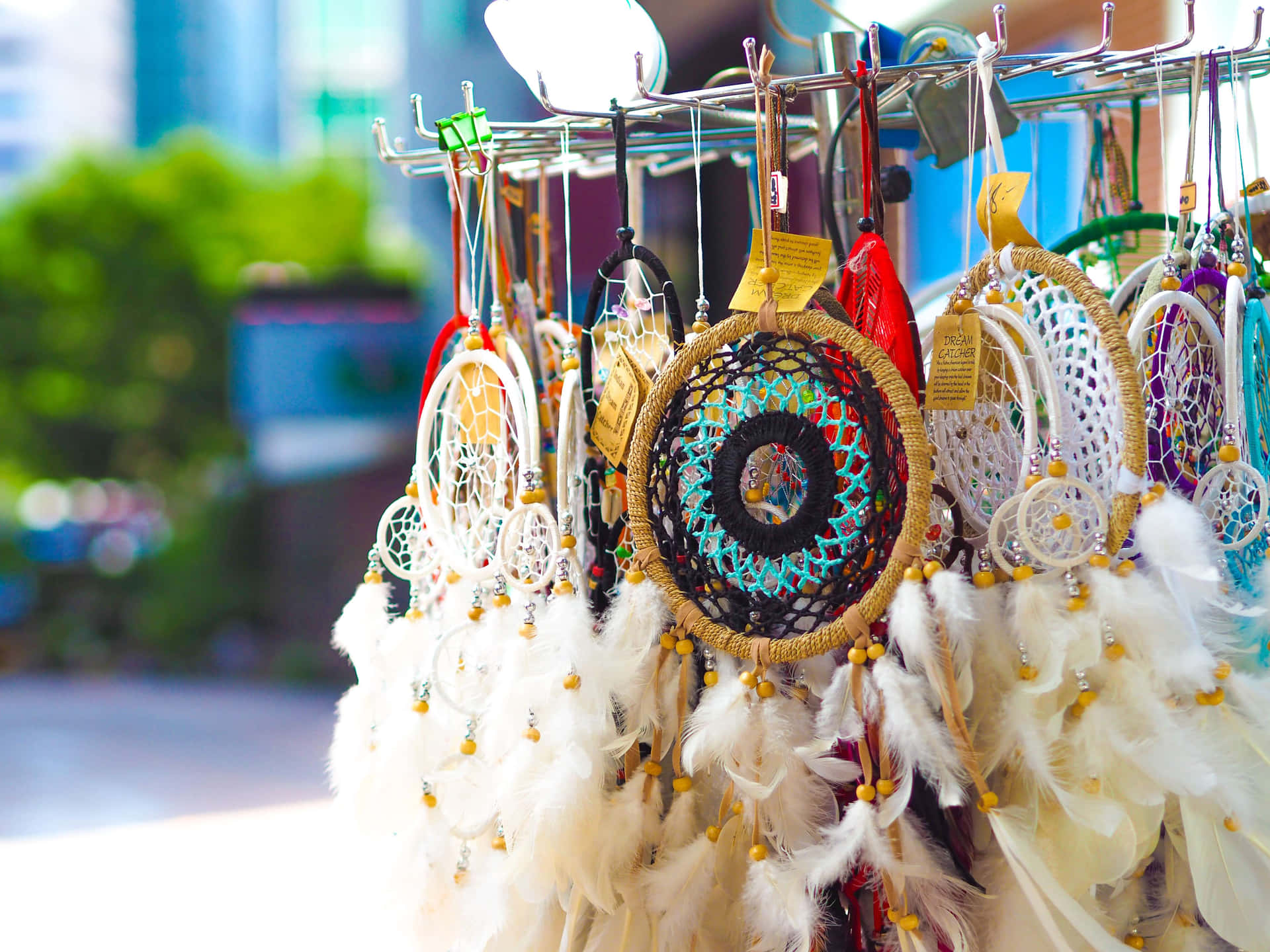 A Display Of Dream Catchers