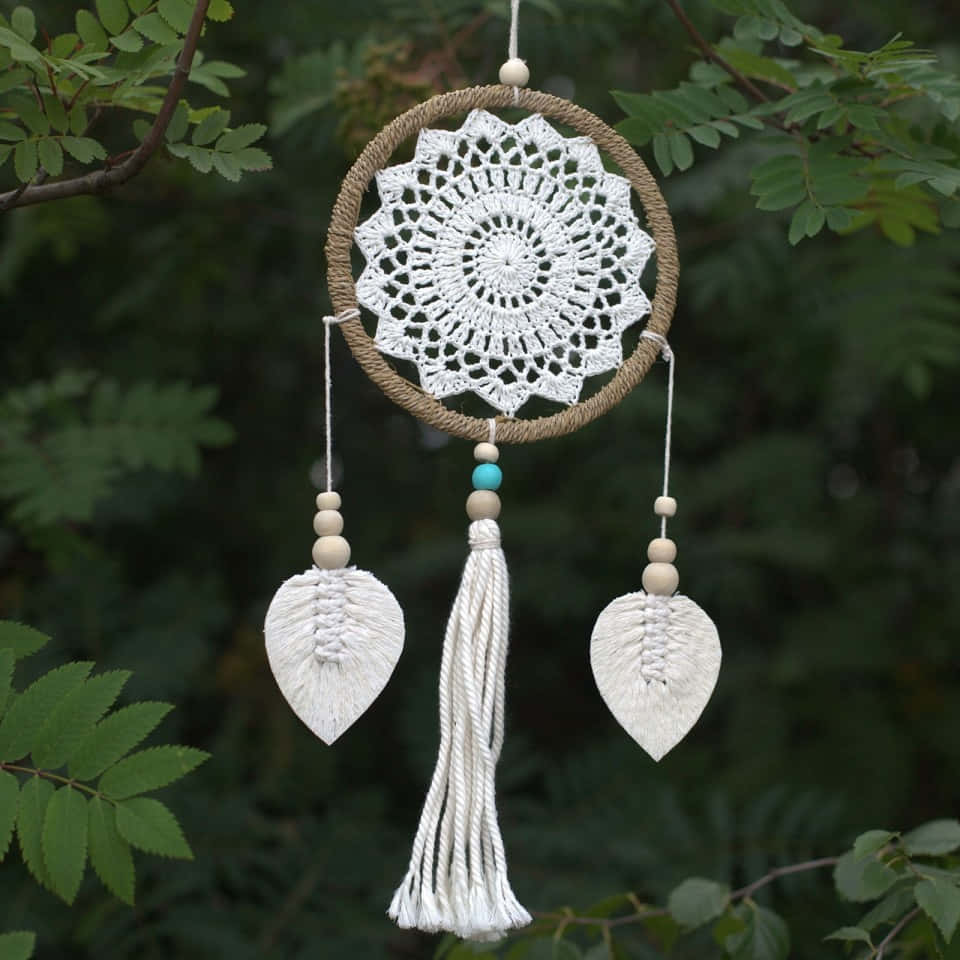 A White Dream Catcher Hanging From A Tree