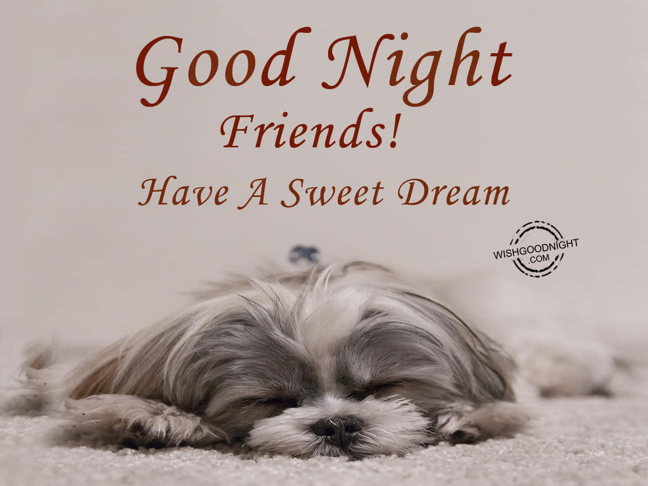 Good Night Friends Have A Sweet Dream