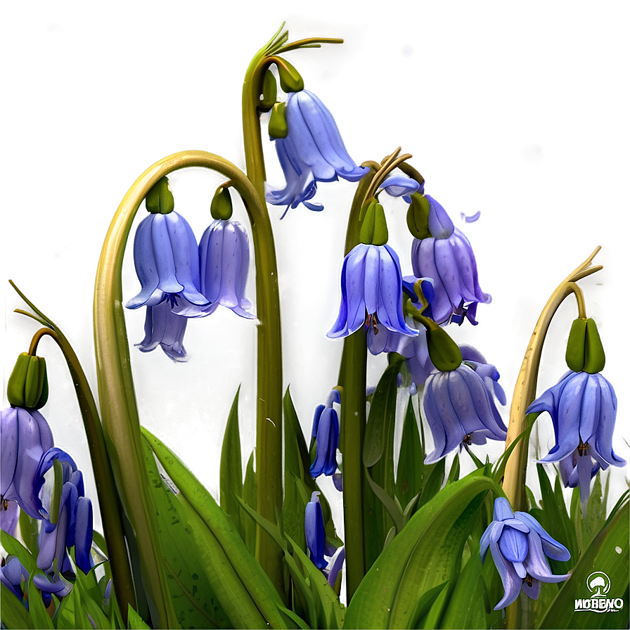 Dreamy Bluebell Png 21 PNG
