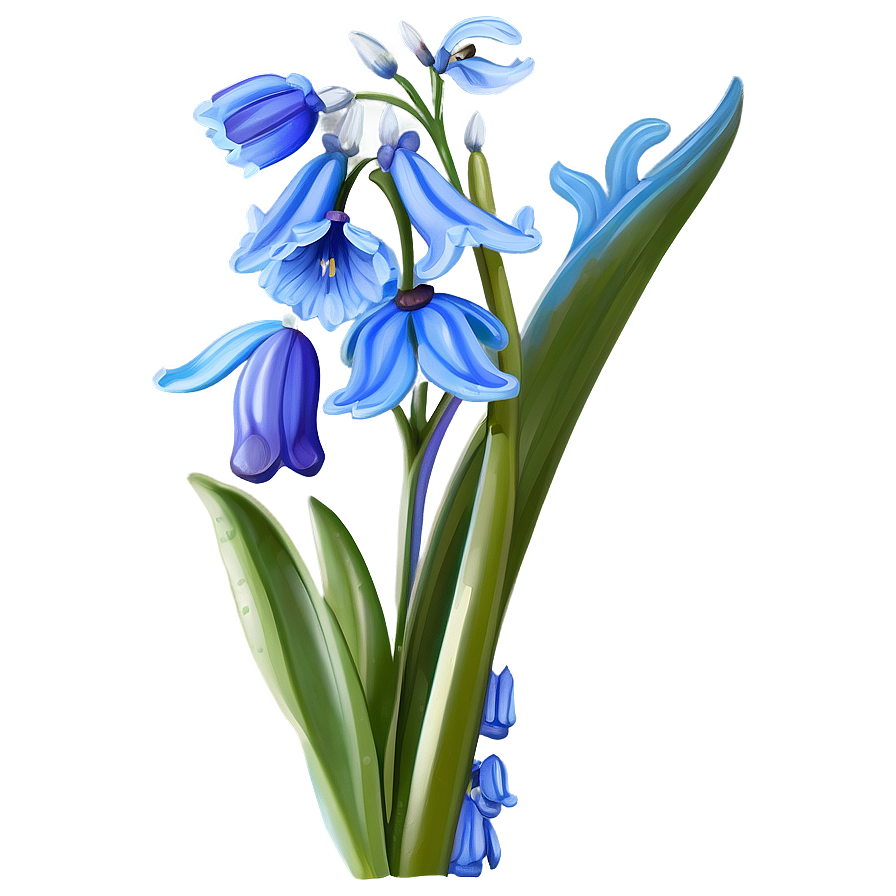 Dreamy Bluebell Png Kxd PNG