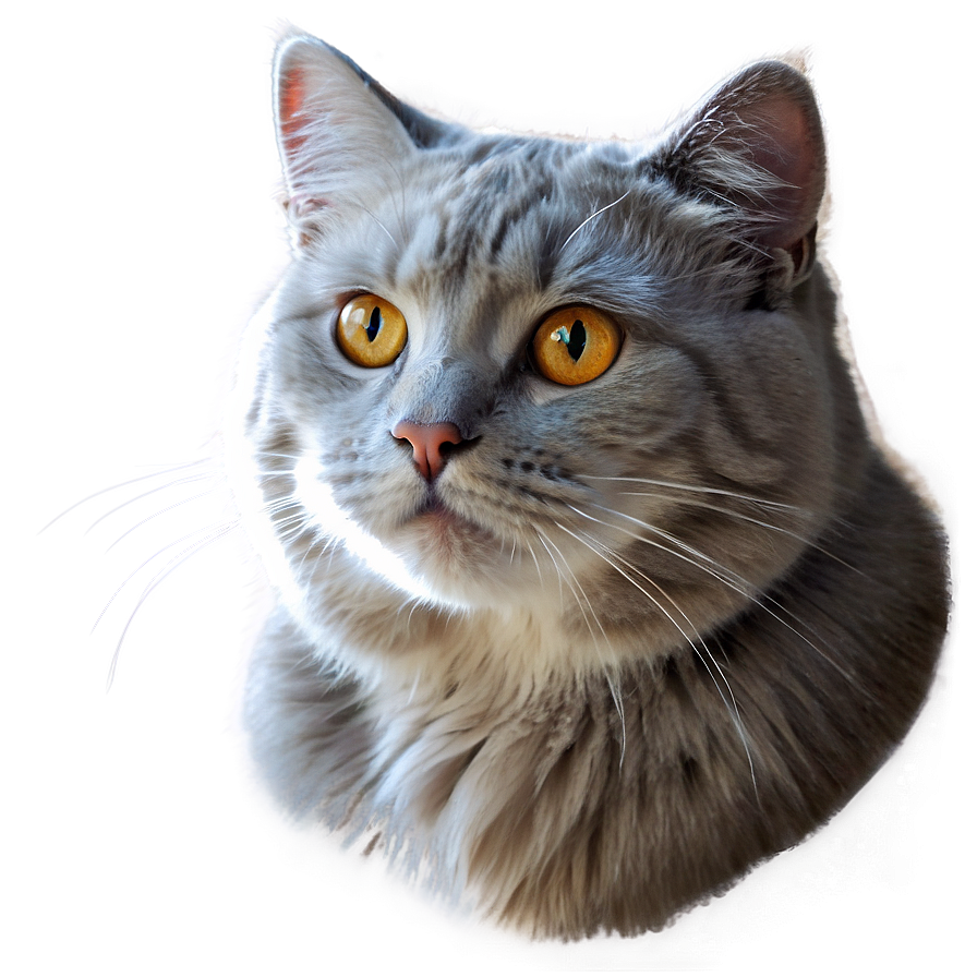 Dreamy Cat Artwork Png Efg52 PNG