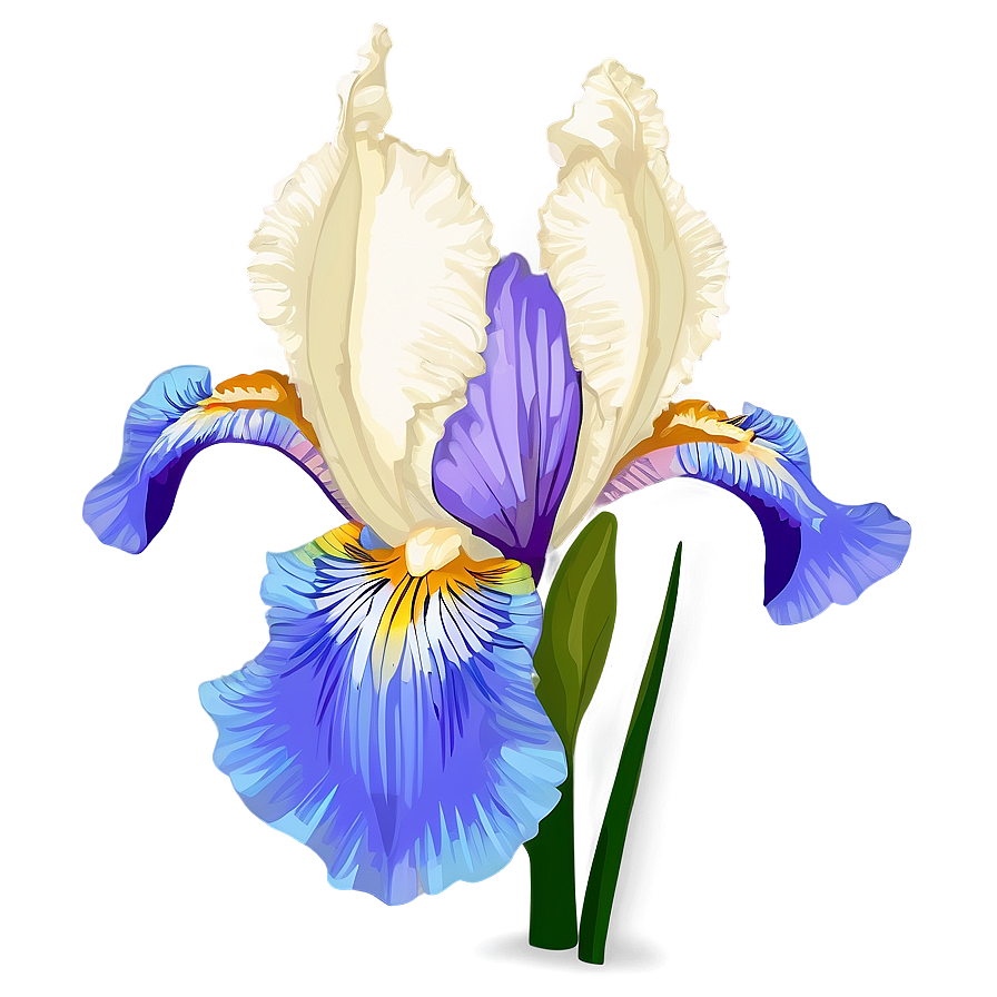 Dreamy Iris Png Eju PNG