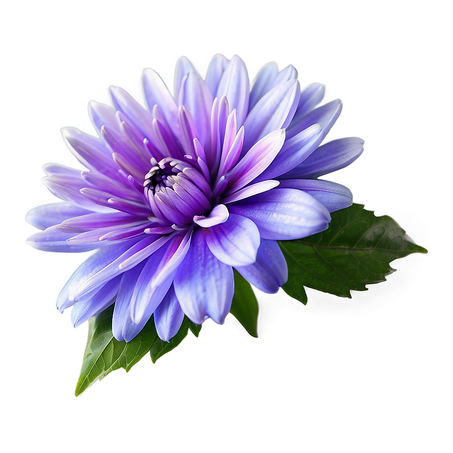 Dreamy Purple Flower Png 05242024 PNG