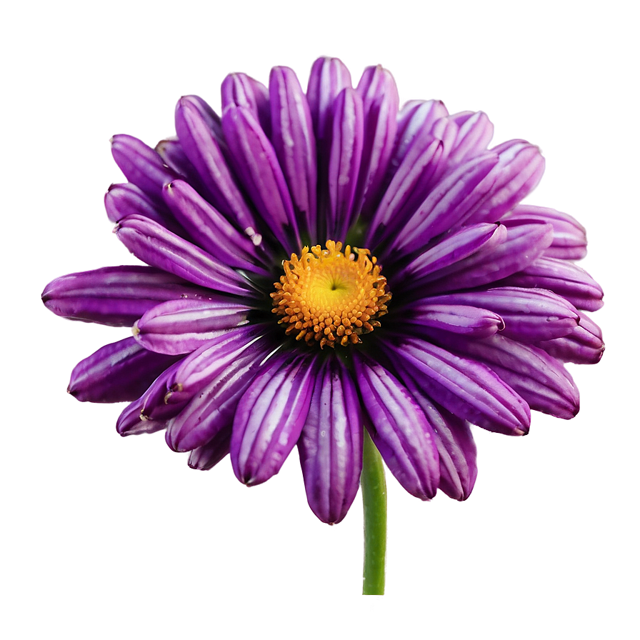 Download Dreamy Purple Flower Png Lqr 