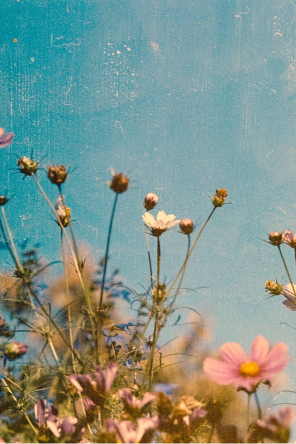 Download Dreamy Textured Vintage Flower Aesthetic Wallpaper 