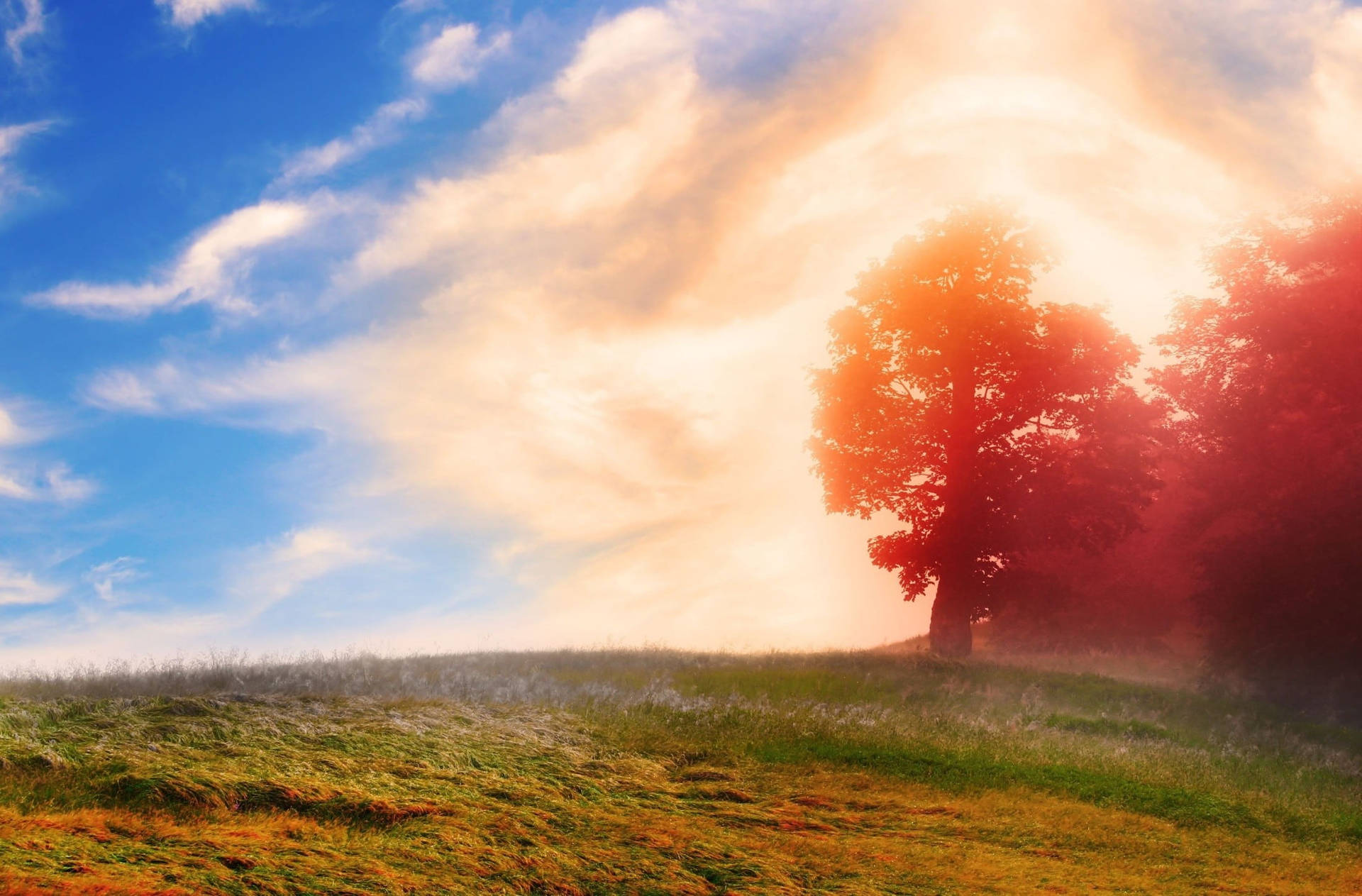 Dreamy Landscape With Hotmail Logo Wallpaper