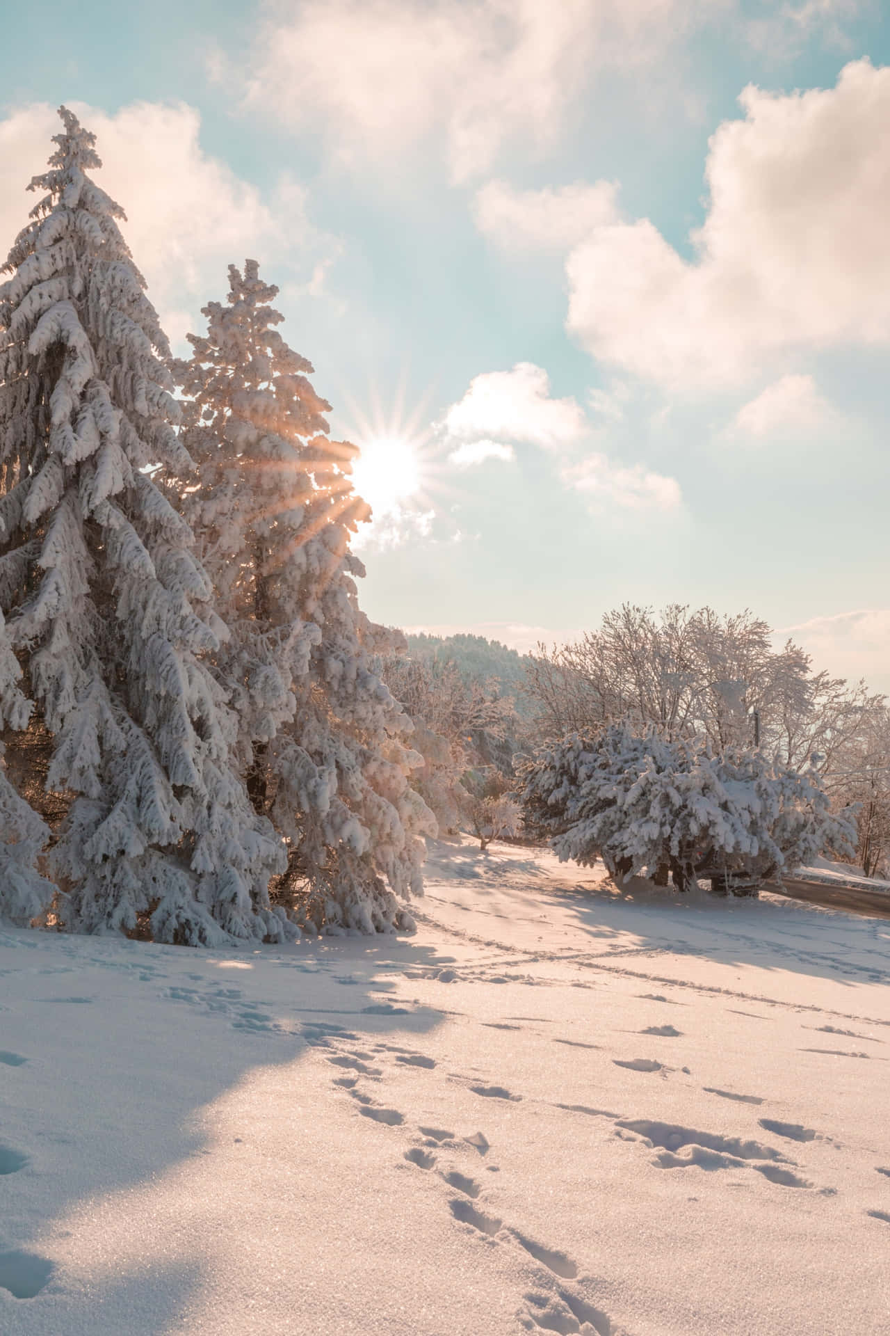 Dreamy Winter Landscape