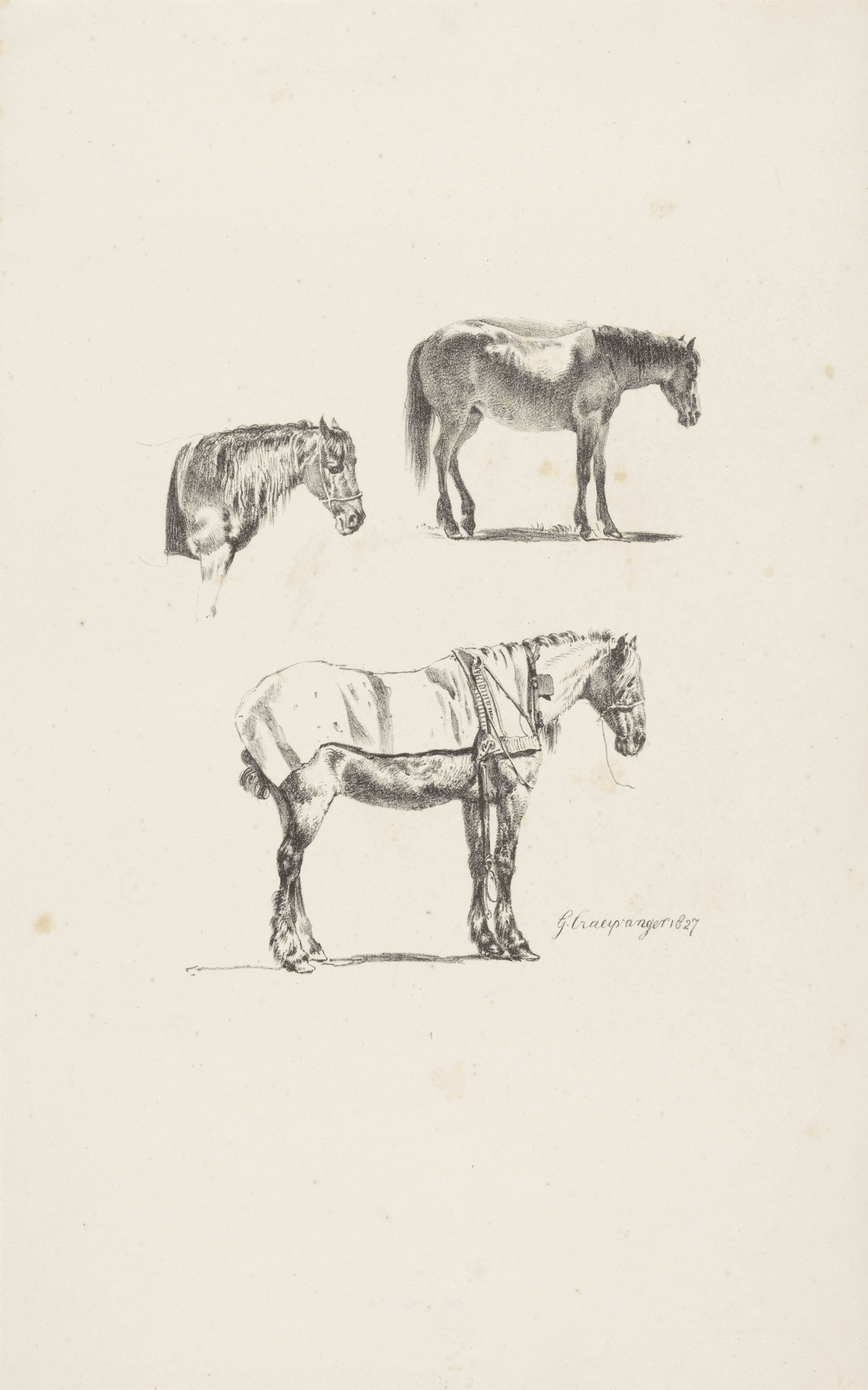 Drie paarden Wallpaper