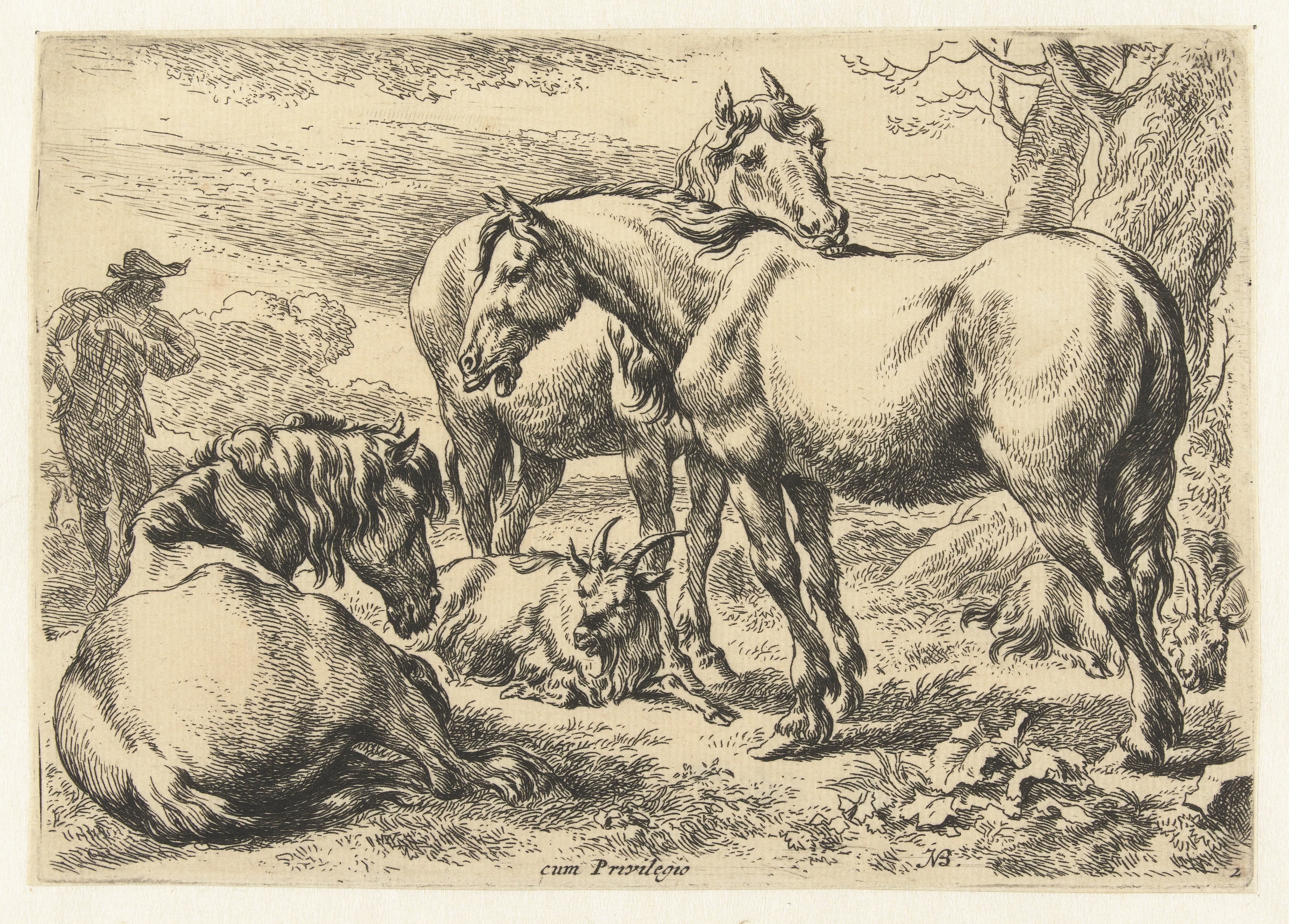 Drie paarden Wallpaper