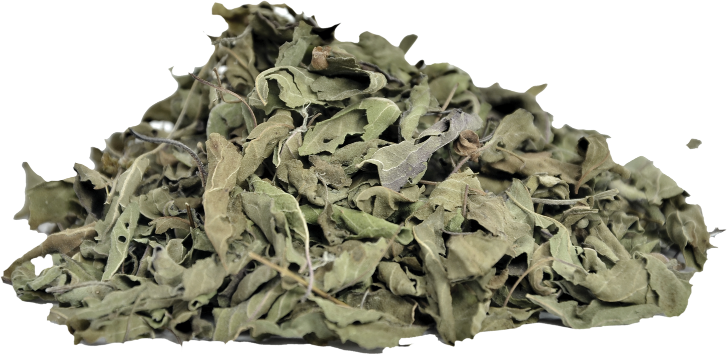 Dried Basil Leaves Texture PNG