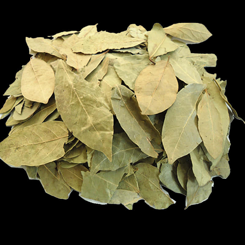 Dried Bay Leaves Herbal Spice PNG