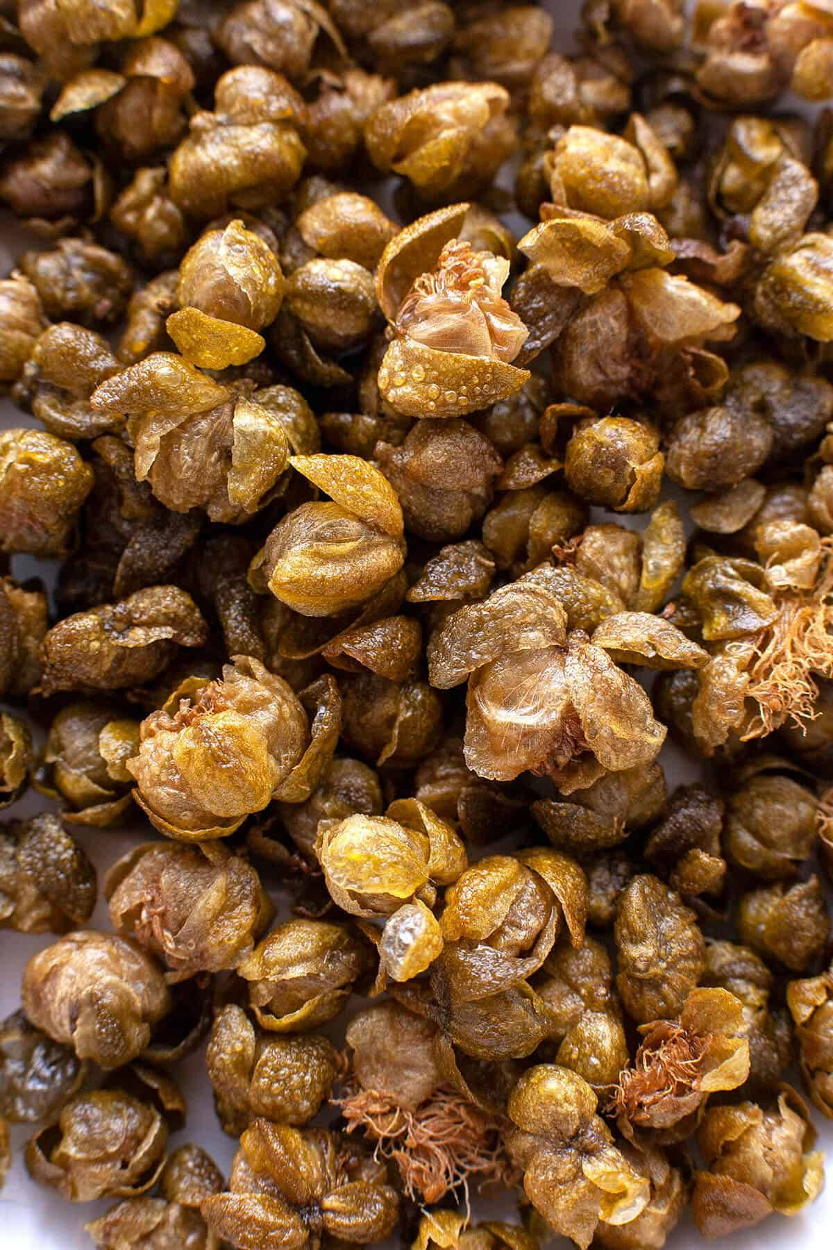 Dried Brown Caper Buds Wallpaper